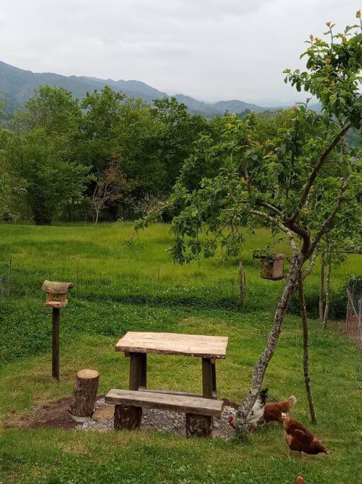 Casa Rural El Cotu En Onís Kültér fotó